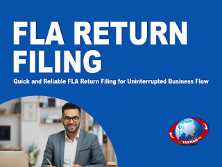 FLA Return Filing in Indirapuram