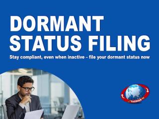 Dormant Status Filing in Indirapuram
